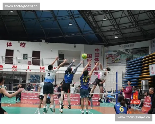 欧洲杯排球赛火爆开打，新星崛起，哪支队伍能笑到最后